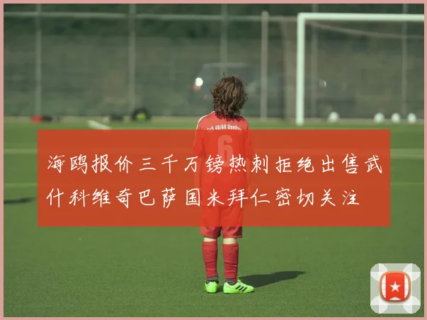 海鸥报价三千万镑热刺拒绝出售武什科维奇巴萨国米拜仁密切关注