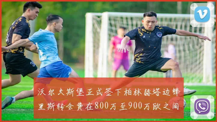 沃尔夫斯堡正式签下柏林赫塔边锋里斯转会费在800万至900万欧之间
