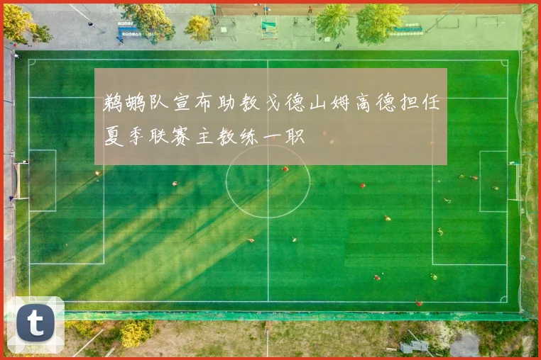 鹈鹕队宣布助教戈德山姆高德担任夏季联赛主教练一职