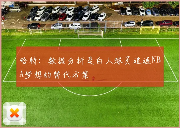 哈特：数据分析是白人球员追逐NBA梦想的替代方案
